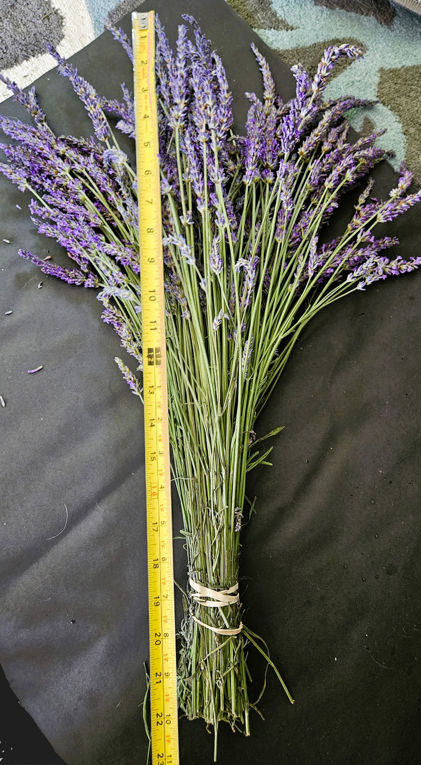 Dried Phenomenal Lavender