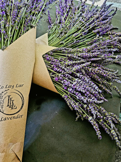 Dried Phenomenal Lavender